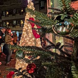 Weihnachtlich geschmückte Bäume am Musikpavillon (Buttermarkt)