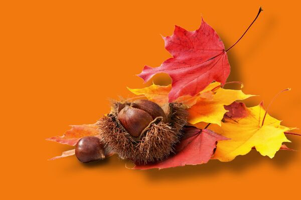 Herbstfest in Kempen