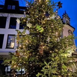 Festlich geschmückter Weihnachtsbaum auf dem Martinspodest am Buttermarkt