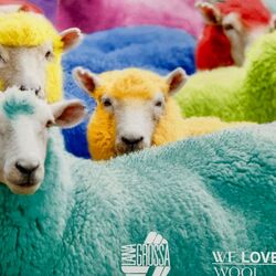 Ze brengen kleur en vrolijkheid in het dagelijks leven: handwerk en wol hebben veel liefhebbers.