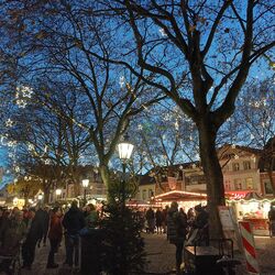 Sternenhimmel auf dem Buttermarkt, © Armin Horst