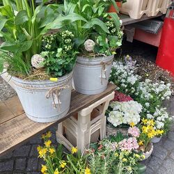 Lentebloemen in overvloed in het voetgangersgebied